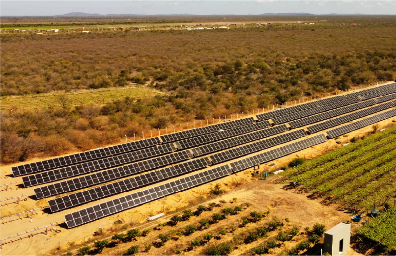 TAPERA II — Empresas (Comércio e B2B)